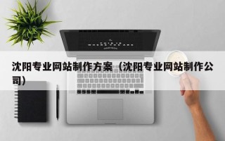 兰考沈阳专业网站制作方案（沈阳专业网站制作公司）
